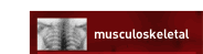 muscular