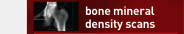bone mineral density scan